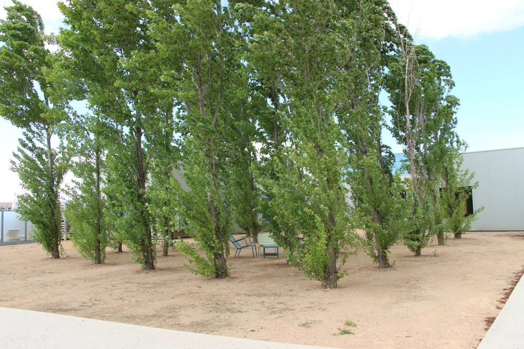 Hotel Aire Bardenas