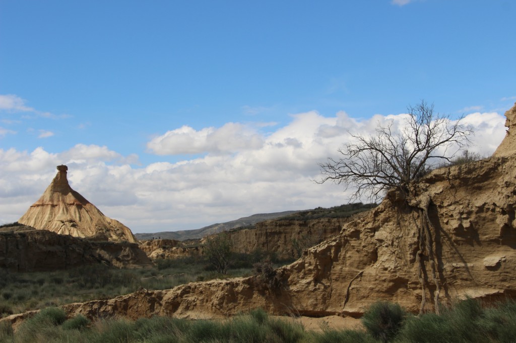 Las Bardenas Reales